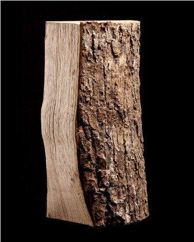 Grande palette – 100% Hêtre séché au four 25cm / 30cm – Image 2